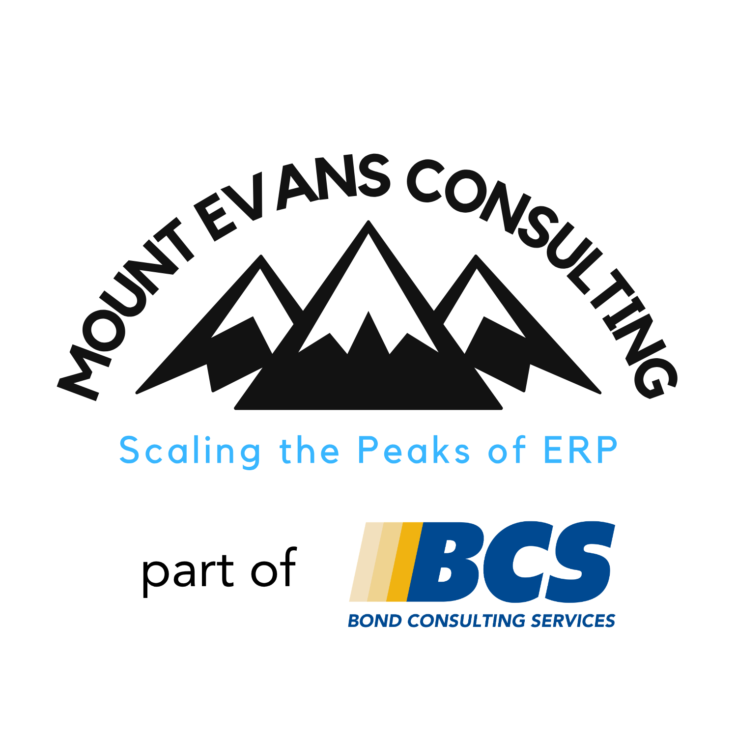 View Mount Evans Consulting's Profile